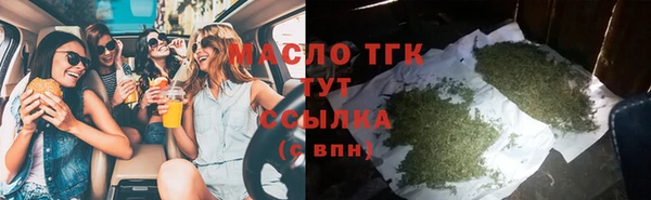 гашик Пересвет