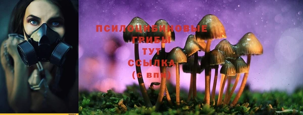 крисы Покров