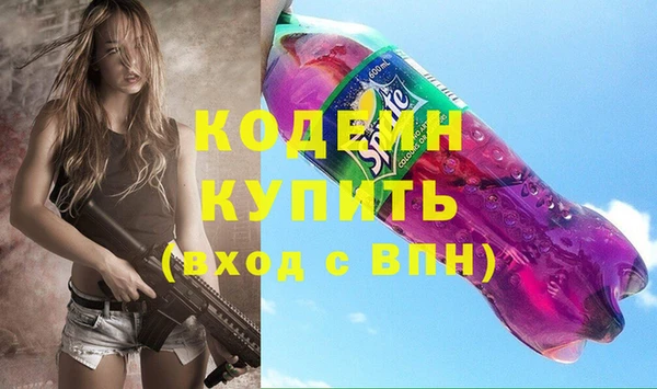 гашик Пересвет