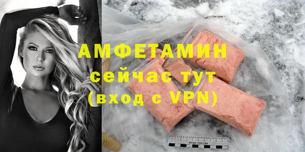 гашик Пересвет