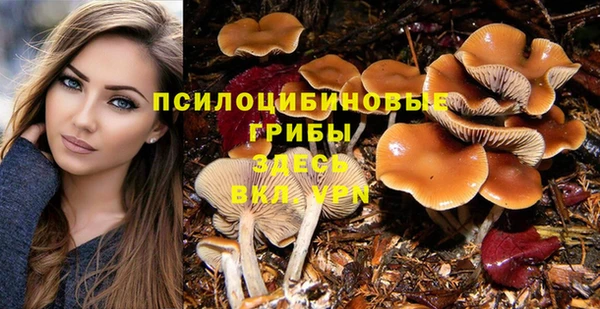 амфетамин Пестово