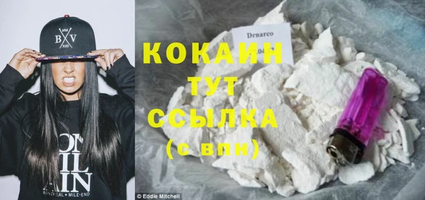 твердый Покачи