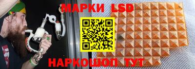 наркотики Гатчина