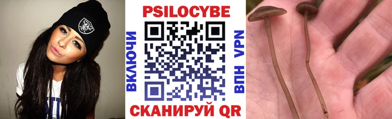 Галлюциногенные грибы GOLDEN TEACHER  как найти закладки  Апатиты 