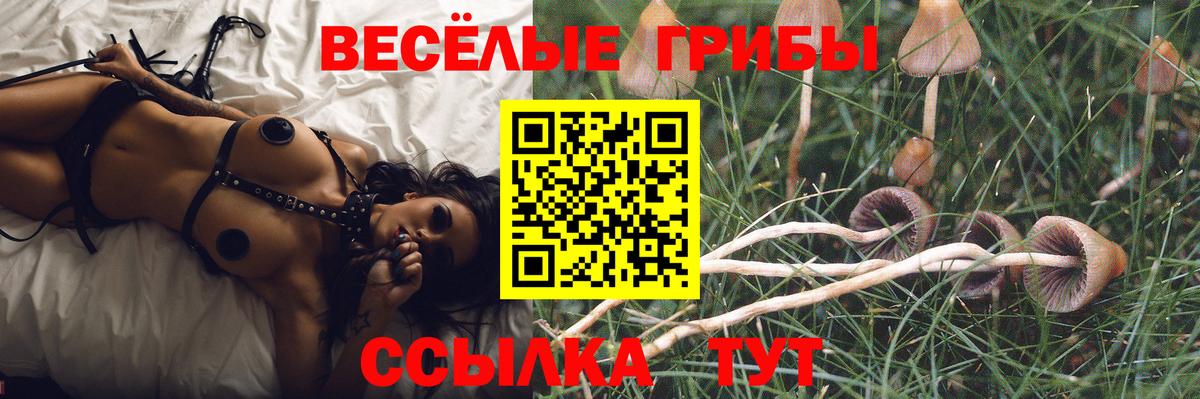 Апатиты  Галлюциногенные грибы прущие грибы  Вход с VPN  Галлюциногенные грибы прущие грибы 