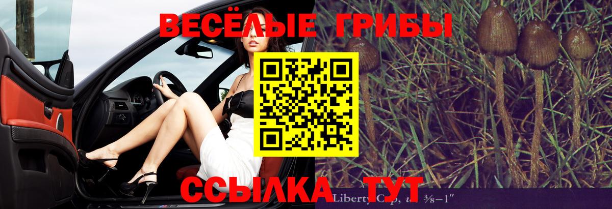 Псилоцибиновые грибы MAGIC MUSHROOMS  Галлюциногенные грибы ЛСД  Апатиты  Вход с VPN 