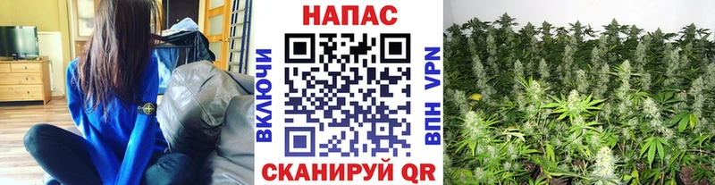 Конопля SATIVA & INDICA Апатиты