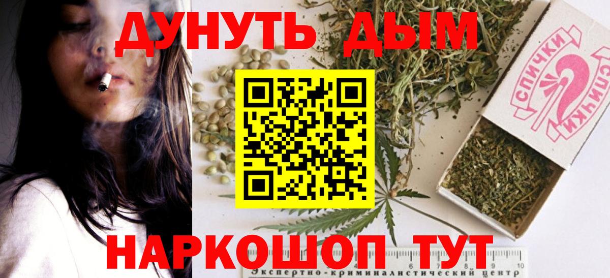 Конопля индика Апатиты