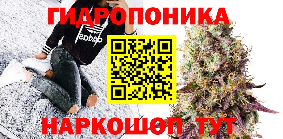 Канабис OG Kush  Апатиты  Марихуана гибрид  МАРИХУАНА SATIVA & INDICA 